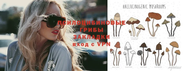 spice Армянск