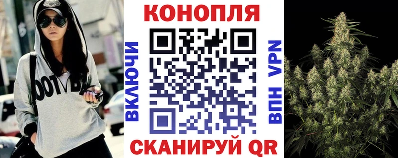 Канабис сатива  хочу   Южа 